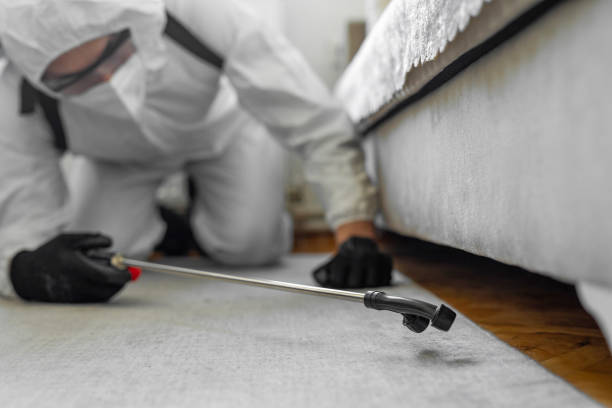 Professional Fumigation Services technician working in Taylorville, IL