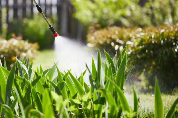 24/7 Emergency Fumigation Services experts in Taylorville, IL